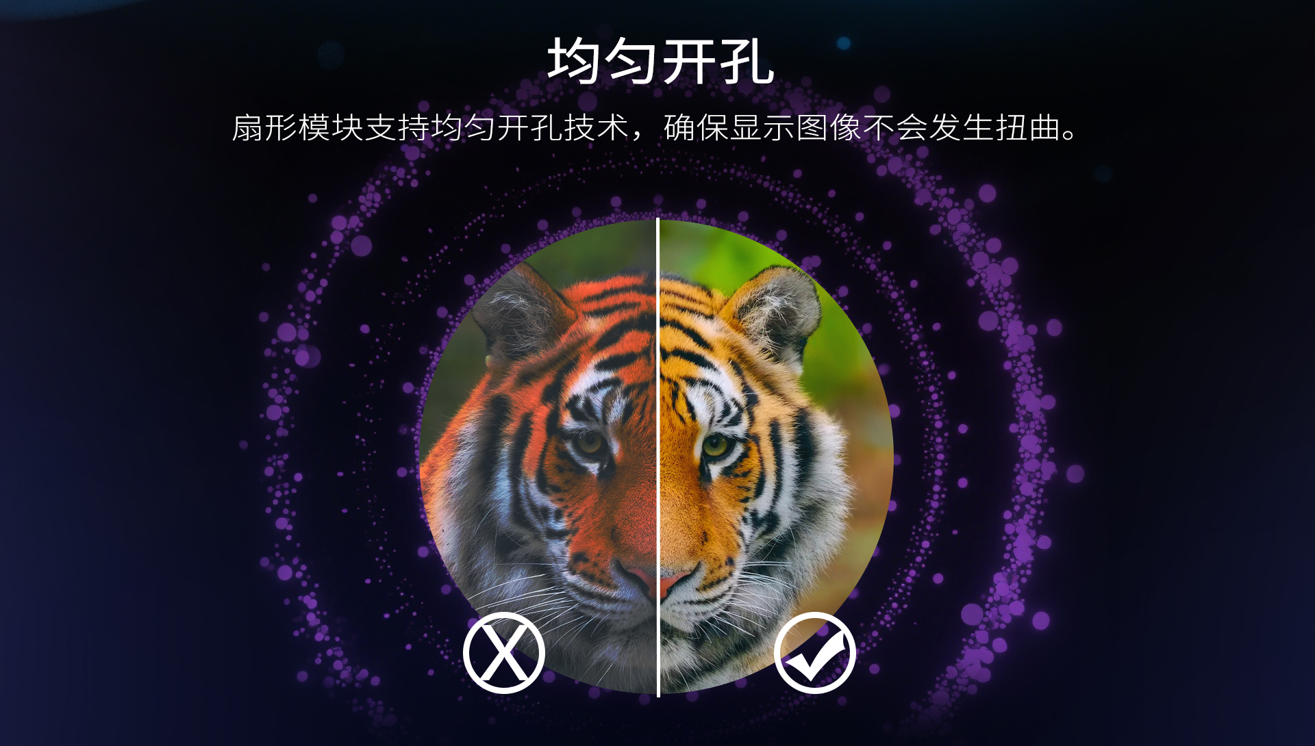 盘子---中_03.jpg